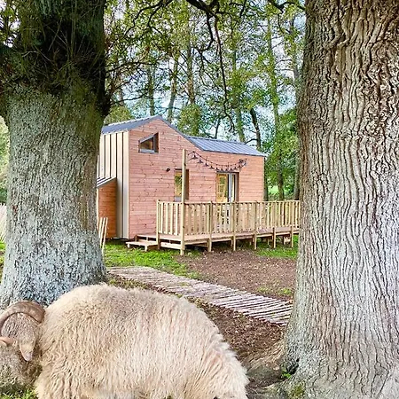 Villa Jolie Tiny House Sous Les Grands Arbres à Cholet Extérieur photo