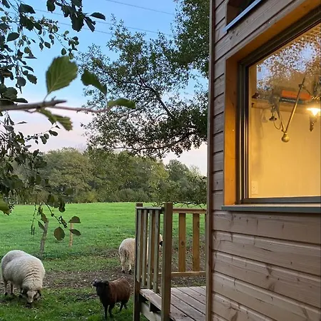 Villa Jolie Tiny House Sous Les Grands Arbres à Cholet Extérieur photo