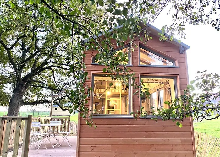Jolie Tiny House Sous Les Grands Arbres