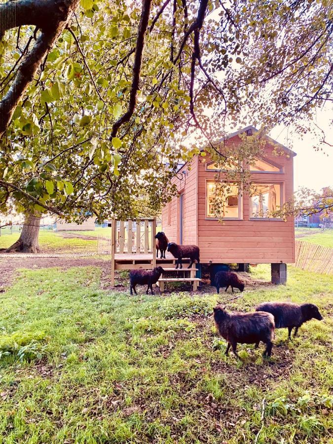 Jolie Tiny House Sous Les Grands Arbres *