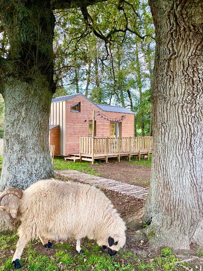 Jolie Tiny House Sous Les Grands Arbres Vakantiehuis *