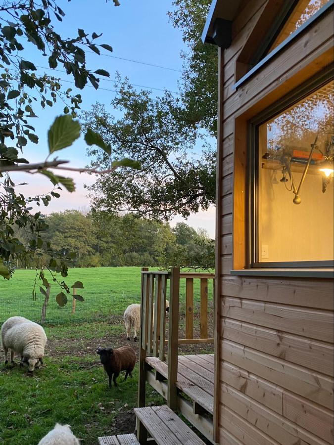 Jolie Tiny House Sous Les Grands Arbres * Cholet