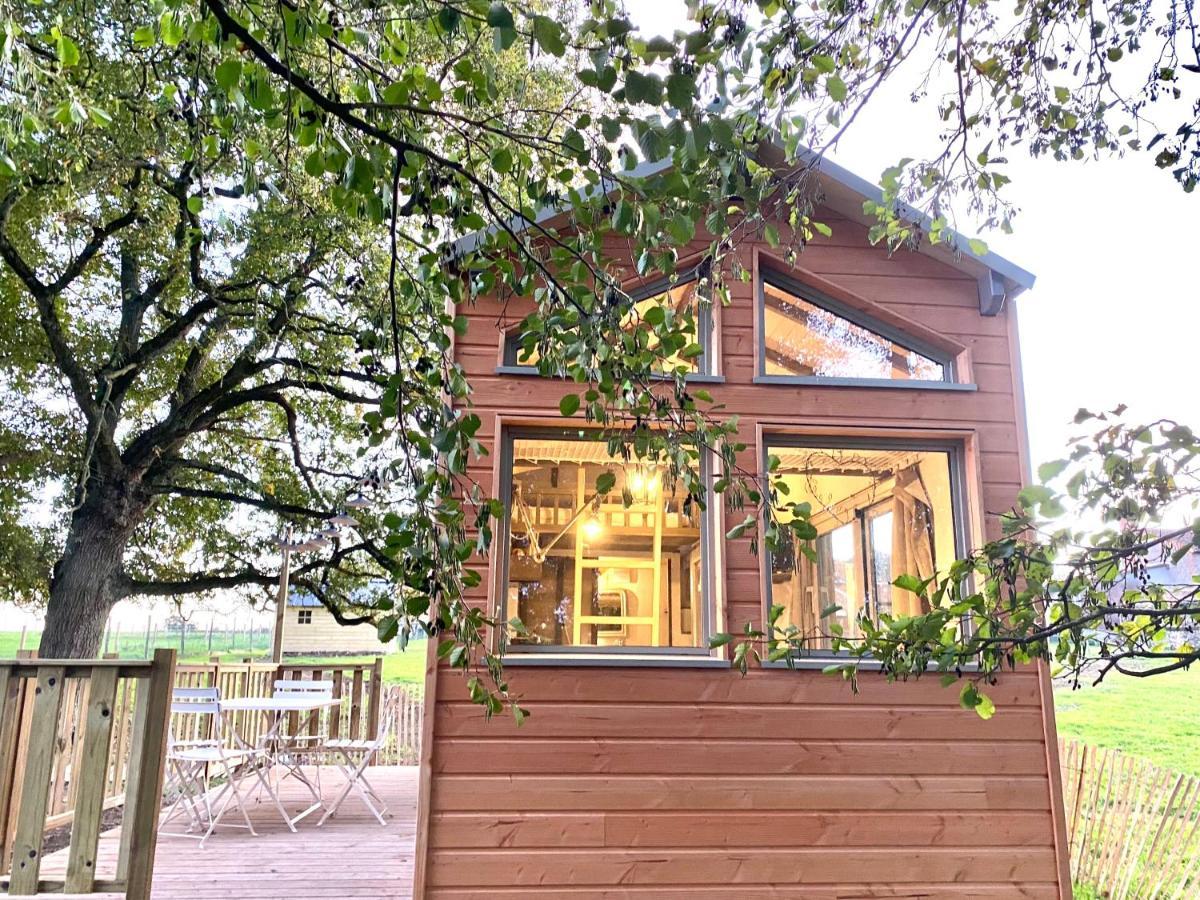 Jolie Tiny House Sous Les Grands Arbres Atacames