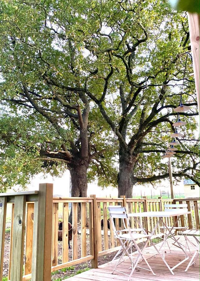 Jolie Tiny House Sous Les Grands Arbres *